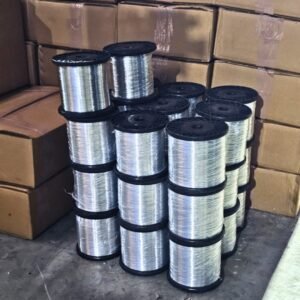 WhatsApp Image 2025-10-08 at 3.35.41 PM (1)