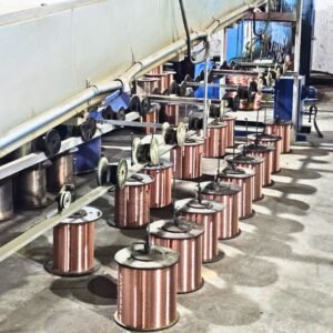 WhatsApp Image 2025-10-08 at 3.35.43 PM